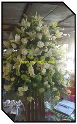 تصویر استند گل 509