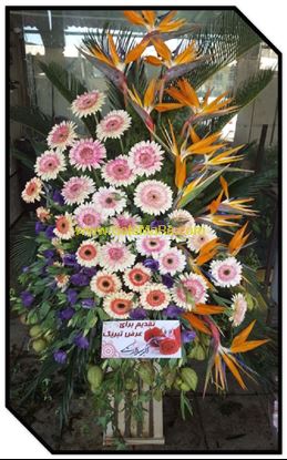 تصویر استند گل 513