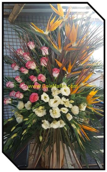 تصویر استند گل 515