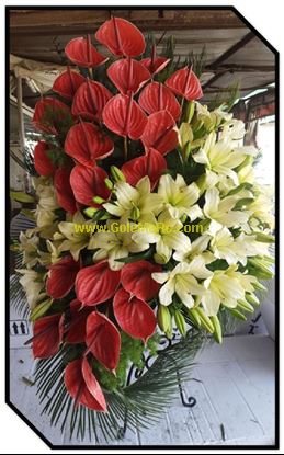 تصویر استند گل 536