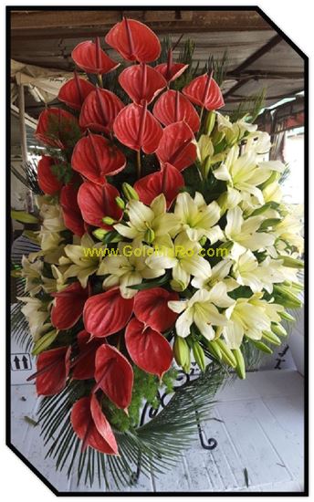 تصویر استند گل 536