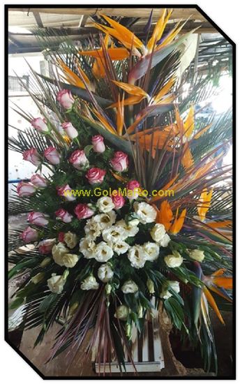 تصویر استند گل 537