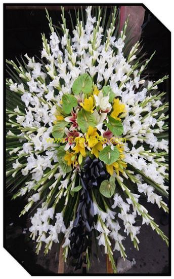 تصویر تاج گل 102