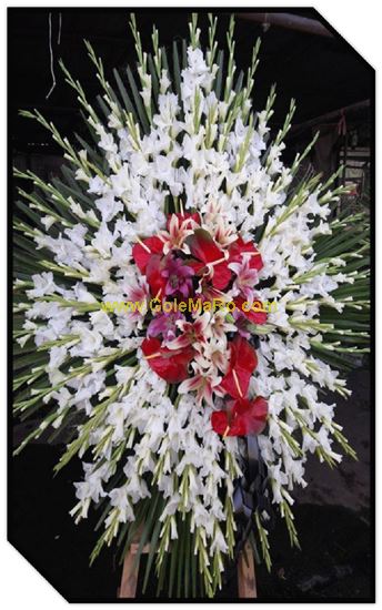 تصویر تاج گل 103