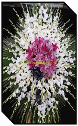 تصویر تاج گل 104