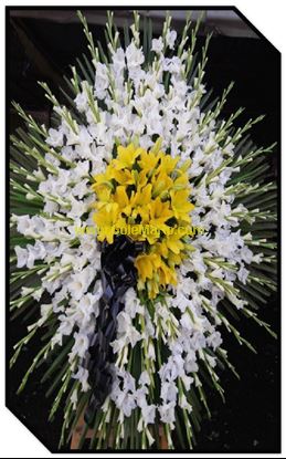 تصویر تاج گل 105