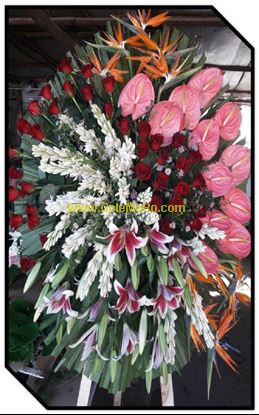 تصویر تاج گل 106