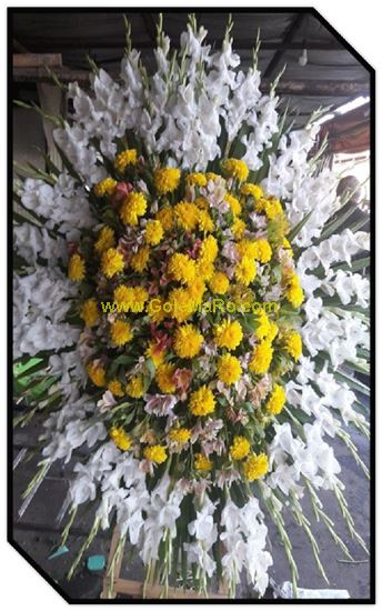 تصویر تاج گل 107