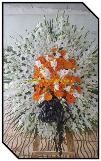 تصویر تاج گل 110