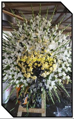 تصویر تاج گل 111