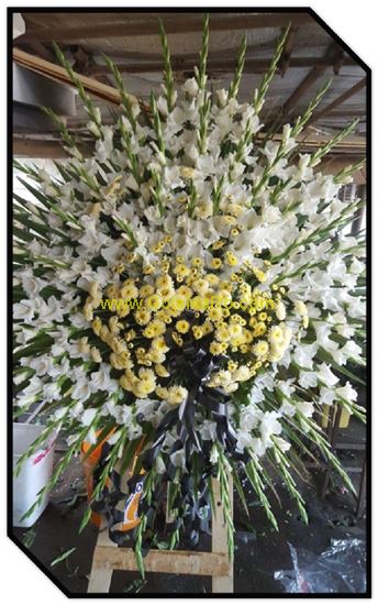 تصویر تاج گل 111