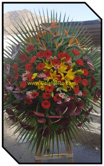 تصویر تاج گل 112