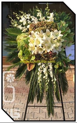 تصویر تاج گل 116