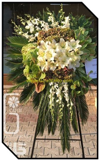 تصویر تاج گل 116