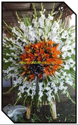 تصویر تاج گل 118