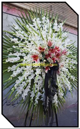 تصویر تاج گل 119