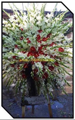 تصویر تاج گل 120