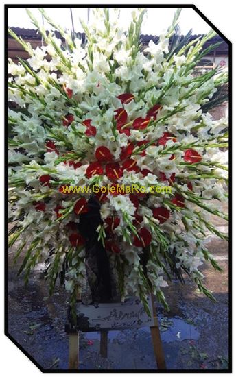 تصویر تاج گل 120