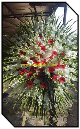 تصویر تاج گل 121