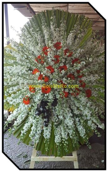 تصویر تاج گل 122