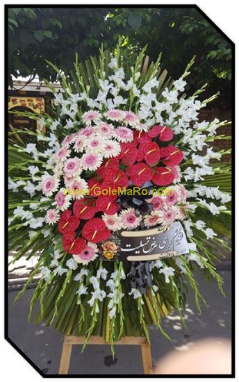 تصویر تاج گل 123