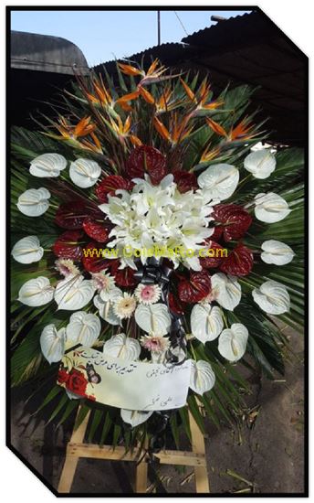 تصویر تاج گل 124