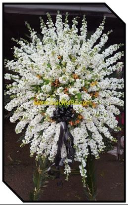 تصویر تاج گل 127