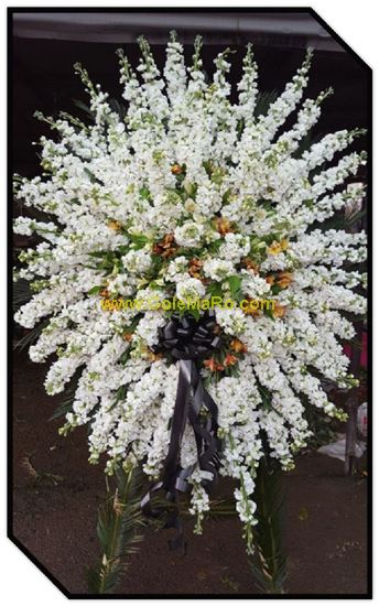 تصویر تاج گل 127