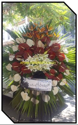 تصویر تاج گل 129