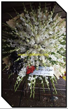 تصویر تاج گل 130