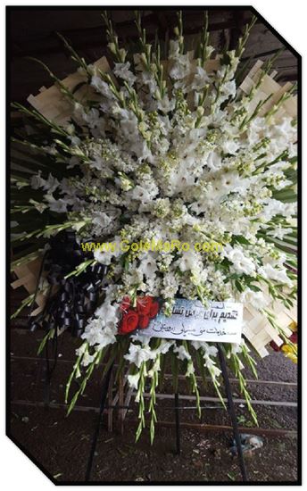 تصویر تاج گل 130