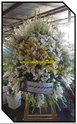 تصویر تاج گل 132