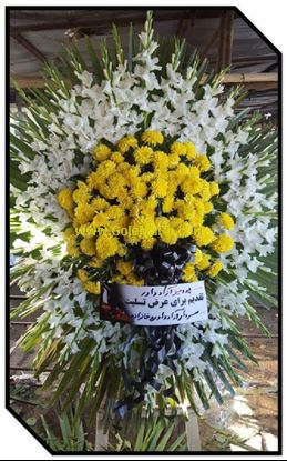 تصویر تاج گل 138