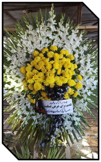 تصویر تاج گل 138