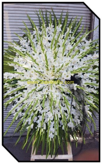 تصویر تاج گل 141