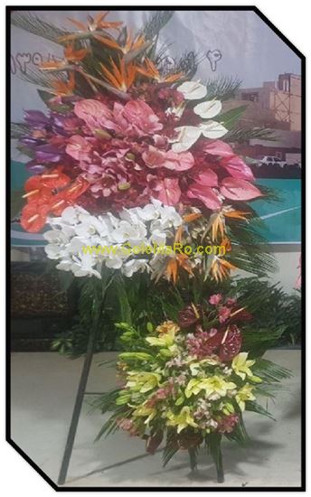 تصویر تاج گل 201