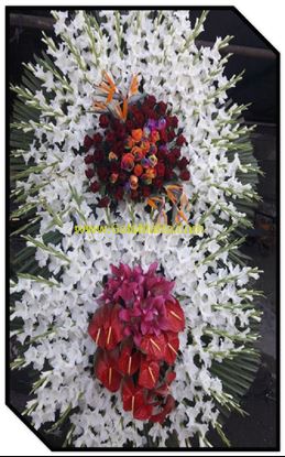 تصویر تاج گل 203