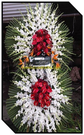 تصویر تاج گل 204