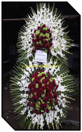 تصویر تاج گل 205