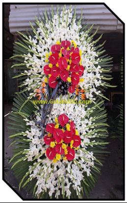 تصویر تاج گل 206