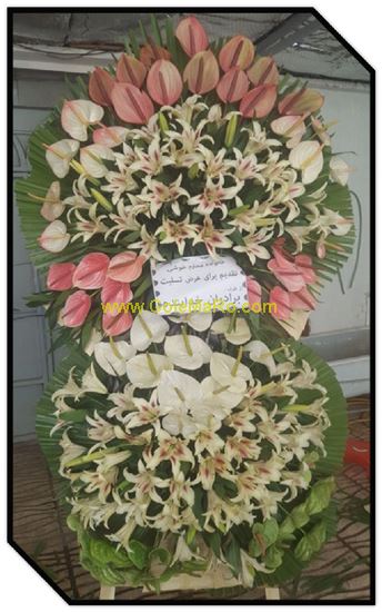 تصویر تاج گل 209