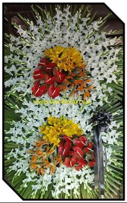 تصویر تاج گل 222