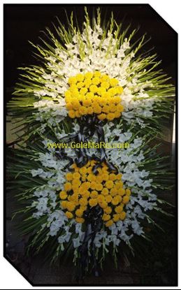 تصویر تاج گل 223