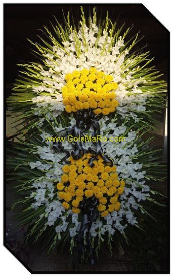 تصویر تاج گل 223