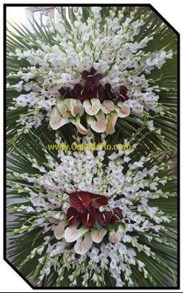 تصویر تاج گل 224