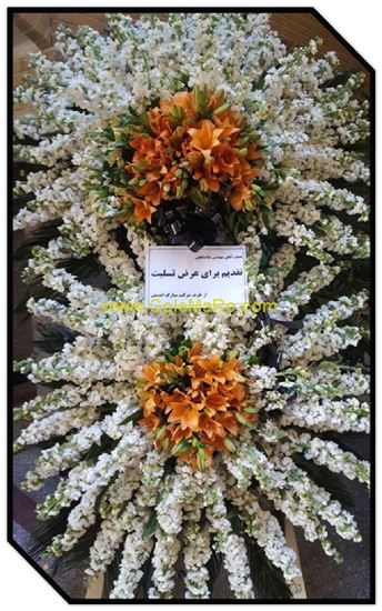 تصویر تاج گل 226