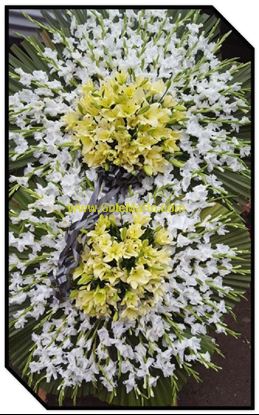 تصویر تاج گل 228