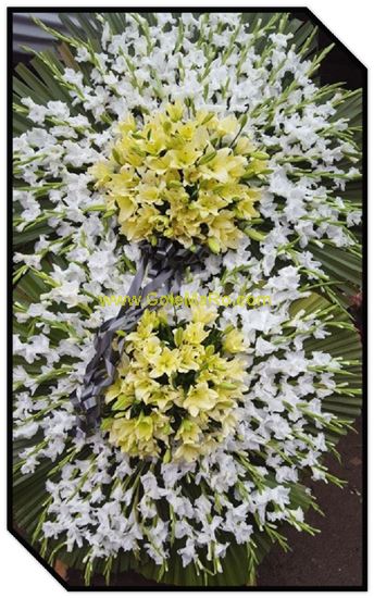 تصویر تاج گل 228