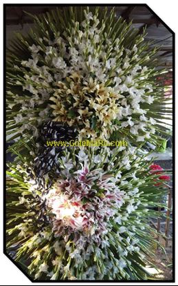 تصویر تاج گل 243