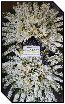 تصویر تاج گل 244